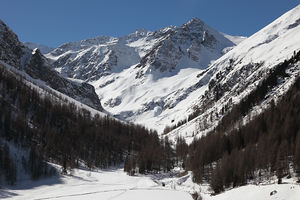 Kraspestal mit Schllekogel