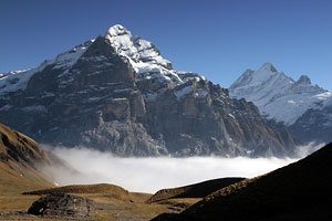 Wetterhorn