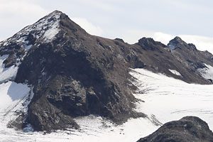 Schneeglocke und Silvrettahorn