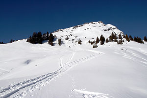 Oberhalb der Forsthofalm