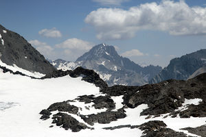 Dent Parrachée