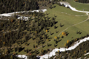 Rohntalboden