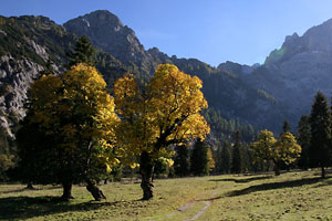 Rohntalboden mit Torkopf