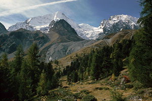 Pigne d'Arolla