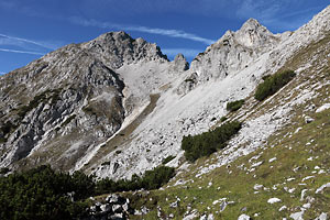 Handschuhspitze