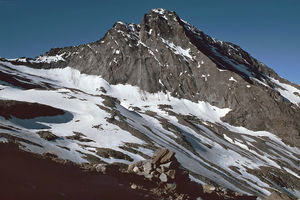 Hübschhorn