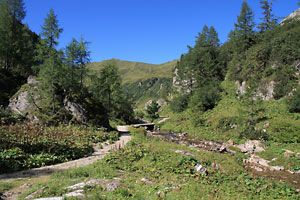 Kurz vor dem Tappenkarsee