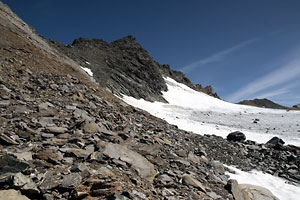Weißspitze