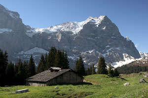 Wetterhorn