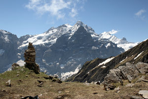 Wetterhorn