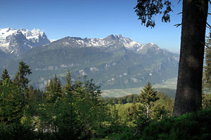 Gesamtübersicht