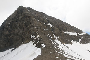 Schwarzhorn, N-Flanke