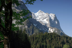 Wetterhorn