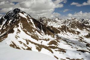 Großer Schafkopf