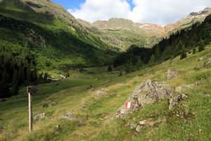 Ochsenalm