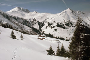 Oberhalb der Niesrachalm