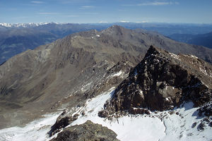 Hasenöhrl